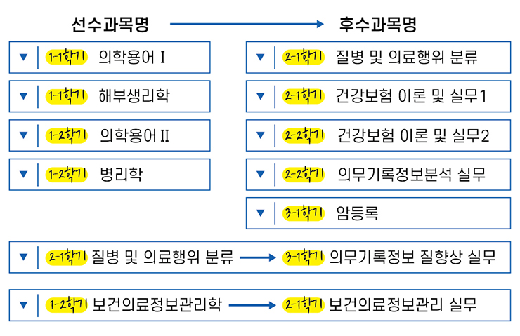 프로그램 교과목 선-후 이수체계